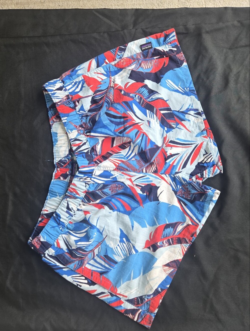 Patagonia Women's Blue, Red & White Tropical Print Athletic Shorts